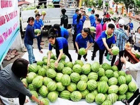 Ấm lòng người Sài Gòn: Bỏ tiền túi 'giải cứu' 10 tấn dưa hấu ở Gia Lai rồi đem về phát miễn phí 