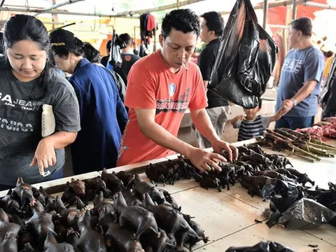 Mặc kệ dịch COVID-19 ngày càng lan rộng, thịt dơi vẫn được bày bán và nhiều người hỏi mua