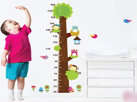 Bé 2 tuổi có chỉ số chiều cao cân nặng thế nào là bình thường, khỏe mạnh?