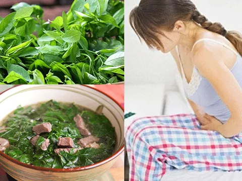 Bà bầu ăn rau ngót theo cách này chẳng trách lại sợ sảy thai