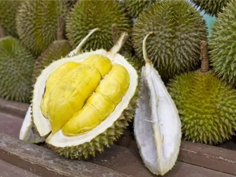Mách chị em cách chọn sầu riêng chín già, thơm ngon không thuốc