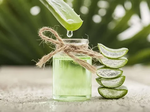 Chữa viêm đại tràng bằng cây nha đam, đơn giản mà cực hiệu quả