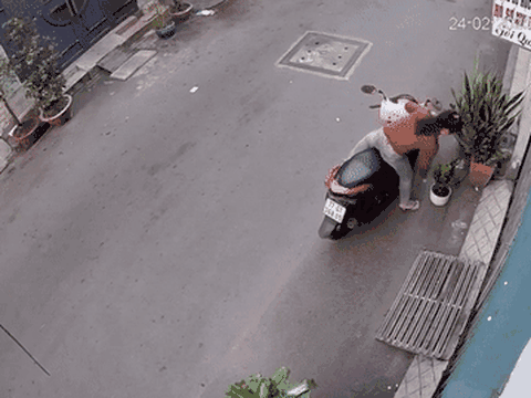 Tin tức xã hội mới nhất ngày 26/2/2020: Cô gái trộm chậu cây bị 'nghiệp quật' sấp mặt 