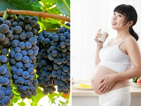 Quả nho rất tốt cho bà bầu nhưng cần nhớ kỹ 5 điều này trước khi ăn