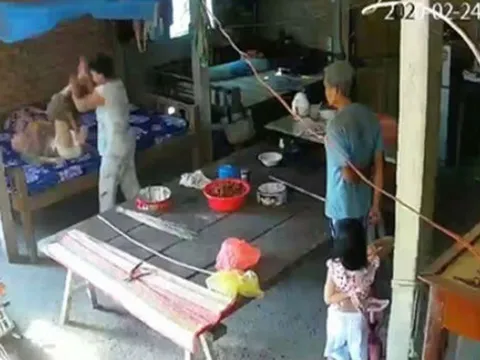 Tin tức pháp luật mới nóng ngày 29/2: Triệu tập vợ chồng bạo hành mẹ già 88 tuổi