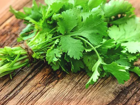Thoát nỗi khó chịu bệnh trĩ với bài thuốc dân gian từ loại rau sẵn có trong vườn nhà
