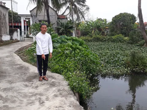 Hải Phòng: Sổ đỏ thiếu đất và chuyện muôn thuở từ con ngõ, bờ ao