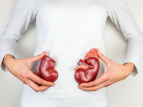 Chế độ ăn cho người suy thận vừa bổ sung dinh dưỡng lại tăng cường hiệu quả điều trị