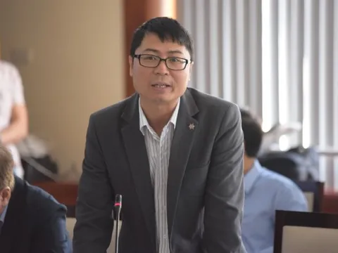 Hải Phòng nên trồng 65.000 cây xanh thay vì tặng ấm chén cho người dân