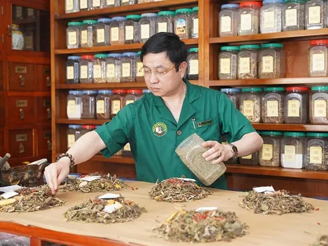 Phác đồ hỗ trợ điều trị cho người dương tính với SARS-COV-2 bằng y học cổ truyền