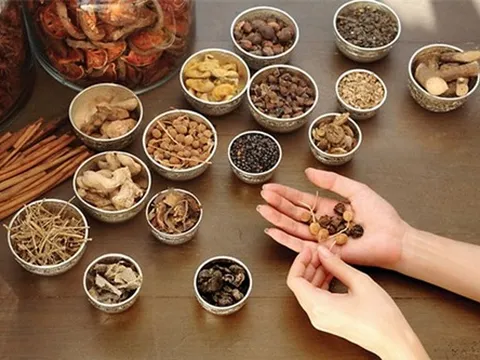 Gầy kinh niên cũng tăng cân liên tục nhờ tuyệt chiêu thần kỳ từ thuốc Bắc
