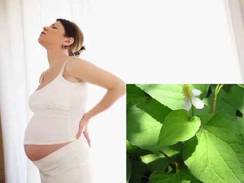 Bà bầu bị bệnh trĩ nặng tới đâu, áp dụng 7 mẹo này đảm bảo khỏi