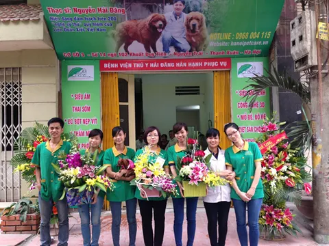 Top 6 bệnh viện thú y uy tín tại Hà Nội