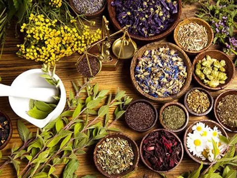 Gầy kinh niên cũng tăng cân vèo vèo nhờ bí quyết từ bài thuốc Nam thần kỳ