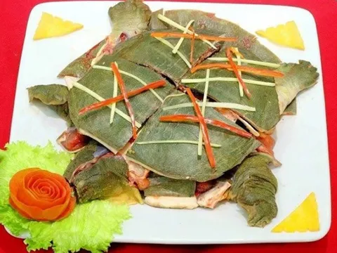 Thực hư thịt ba ba bổ dưỡng nhưng bà bầu ăn vào gây ngộ độc, sảy thai