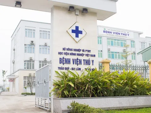 Top 6 bệnh viện thú y uy tín tại TP.HCM