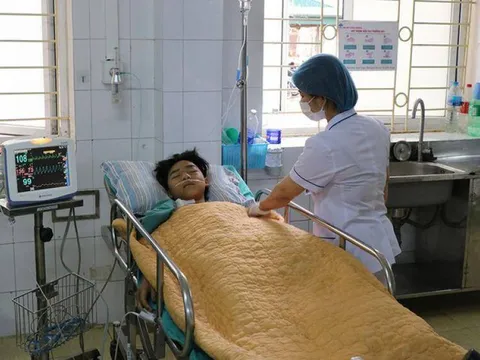 Điện Biên: Nướng nhầm nấm độc ăn khiến em tử vong, anh nguy kịch