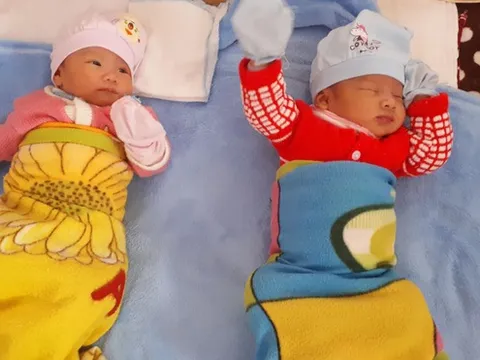 Đột phá chẩn đoán hemophilia trước chuyển phôi, giúp người mang gien máu khó đông sinh con khỏe mạnh