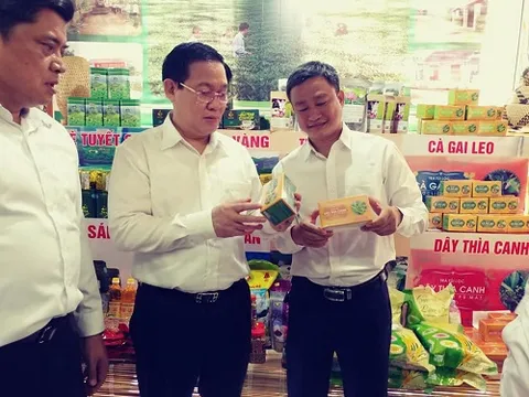Nghệ An: Đến vùng đất người dân bỏ trồng hoa màu sang trồng dược liệu quý