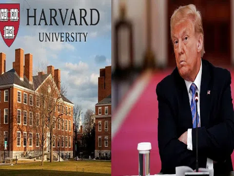 Đại học Harvard kiện chính quyền Mỹ ra tòa vì 'hủy hoại viễn cảnh giáo dục'