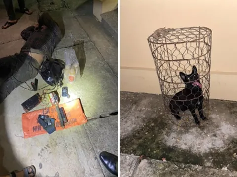 Cái kết đắng cho 2 thanh niên phóng xe máy vượt hàng trăm km từ Ninh Bình đến Hòa Bình trộm chó