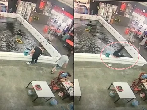 Cặp đôi ngã chổng vó xuống hồ nuôi tôm vì mải ôm hôn say đắm