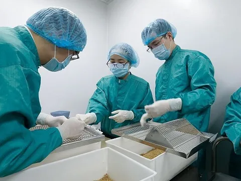 Việt Nam tiêm thử nghiệm vắc xin COVID-19 trên khỉ và nhiều động vật khác như thế nào?