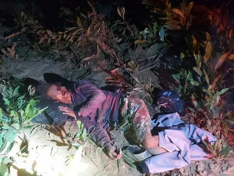 Một người đàn ông bị chấn thương sọ não nghi bị voi rừng quật 