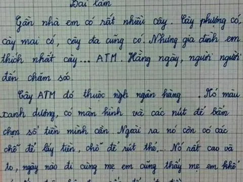 Văn tả cây của học sinh lớp 3: Cây kiếm ra tiền, khiến mẹ khổ sở, đọc tên ai cũng ngớ người