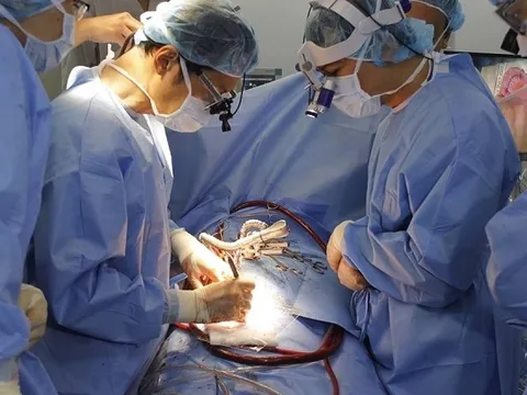 Việt Nam làm chủ kỹ thuật tái tạo van động mạch chủ bằng phương pháp Ozaki