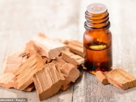 Phát hiện loại tinh dầu tự nhiên chữa hói đầu và rụng tóc chỉ trong 6 ngày