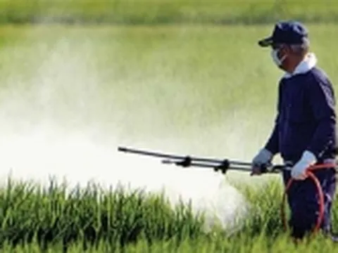 Tiết lộ "thủ phạm" khiến ngày càng có nhiều trẻ em tự kỷ