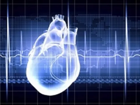 Vì sao con người ít bị ung thư tim?