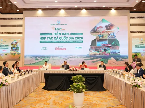 Kết nối hợp tác xã với kinh tế tư nhân