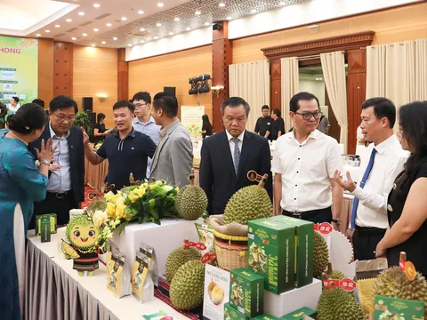 Lễ hội Sầu riêng Đắk Lắk 2026 hướng tới quảng bá thương hiệu toàn cầu