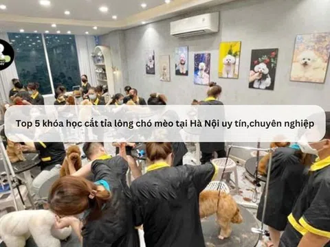 Top 5 khóa học cắt tỉa lông chó mèo tại Hà Nội uy tín,chuyên nghiệp