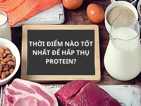 Thời điểm nào tốt nhất để hấp thụ protein?