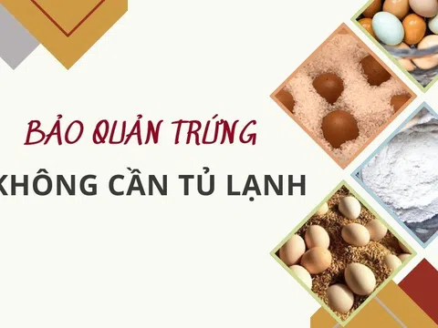 Bật mí 8 cách bảo quản trứng gà tươi ngon, không cần tủ lạnh