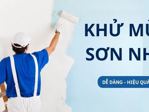 22+ cách khử mùi sơn nhà mới an toàn, đơn giản, hiệu quả