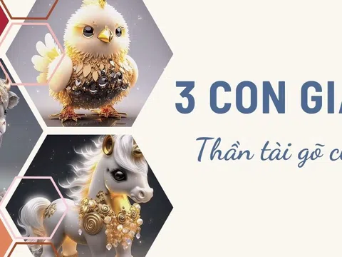 Cuối tháng 8 này: 3 con giáp có cơ hội đổi đời, Thần tài gõ cửa