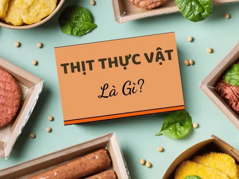 Thịt thực vật là gì? Có chứa nhiều dinh dưỡng như thịt động vật không?