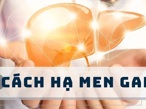 9 cách hạ men gan hiệu quả và kiểm soát chỉ số