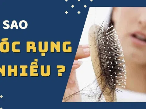 Tại sao tóc rụng nhiều vào trong mùa thu? Mỗi ngày rụng bao nhiêu sợi là bình thường?