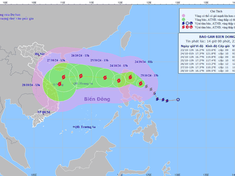 Bão Trà Mi có khả năng đổi hướng tiến thẳng vào Đà Nẵng?