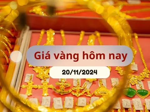 Giá vàng hôm nay 21/11/2024: Nhẫn trơn và vàng SJC vọt tăng liên tiếp