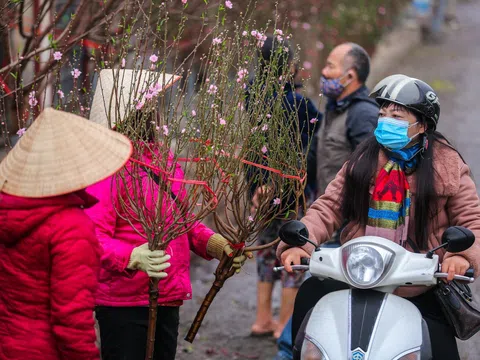 Dự báo thời tiết: Tết Nguyên đán - Miền Bắc rét đậm và có mưa phùn