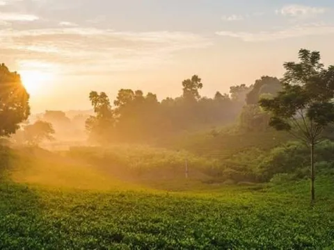 Du lịch Thái Nguyên: Không còn là “đi cho biết”