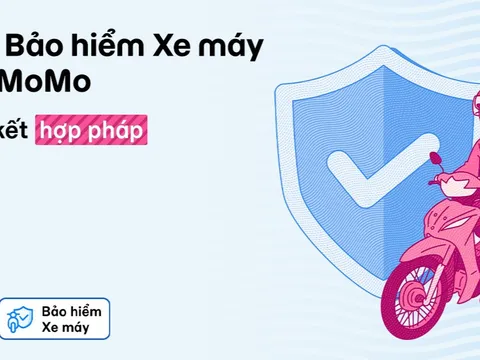 Hướng dẫn cách tra cứu thời hạn bảo hiểm xe máy online cực nhanh