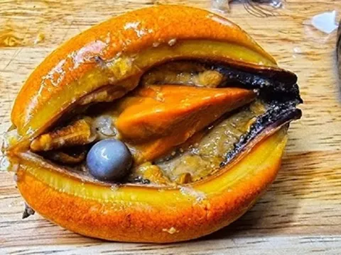 Đang ăn ngon miệng, người đàn ông mừng chảy nước mắt tưởng nhặt được thứ "đắt đỏ nhất thế giới"