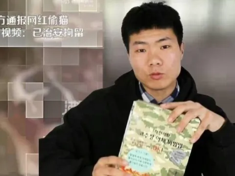 Vlogger Trung Quốc bị bắt vì đăng clip tra tấn mèo